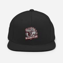 The Blood Of Rage Snapback